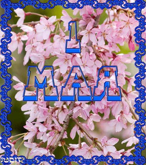 Маи майские. 1 Мая праздник. Открытки с 1 мая. С 1 мая открытки с поздравлениями. С праздником 1 мая поздравления